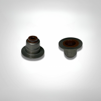 KLAPAN KİPLƏŞDİRİCİ (SALNİK)