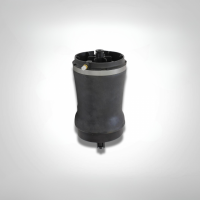 Задняя пневм. пружина