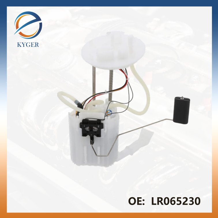 LR065230 Fuel Pump Land Rover for Evoque L538 Range Rover Discovery Sport 2015- 2.0L Gasoline Engine