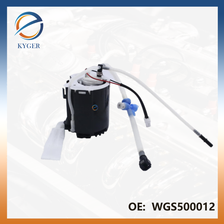 Fuel Pump Assembly WGS500012 WGS500010 WGS500011 for Land Rover Range Rover Sport 4.2L-V8